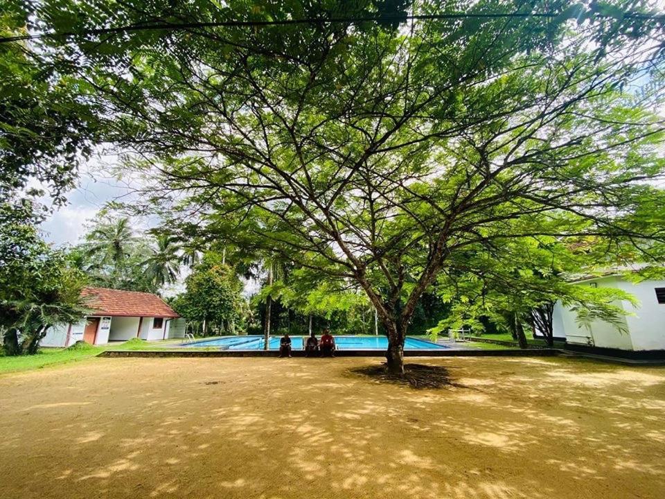 Randiyaepiliyagoda Resort Avissawella Bagian luar foto