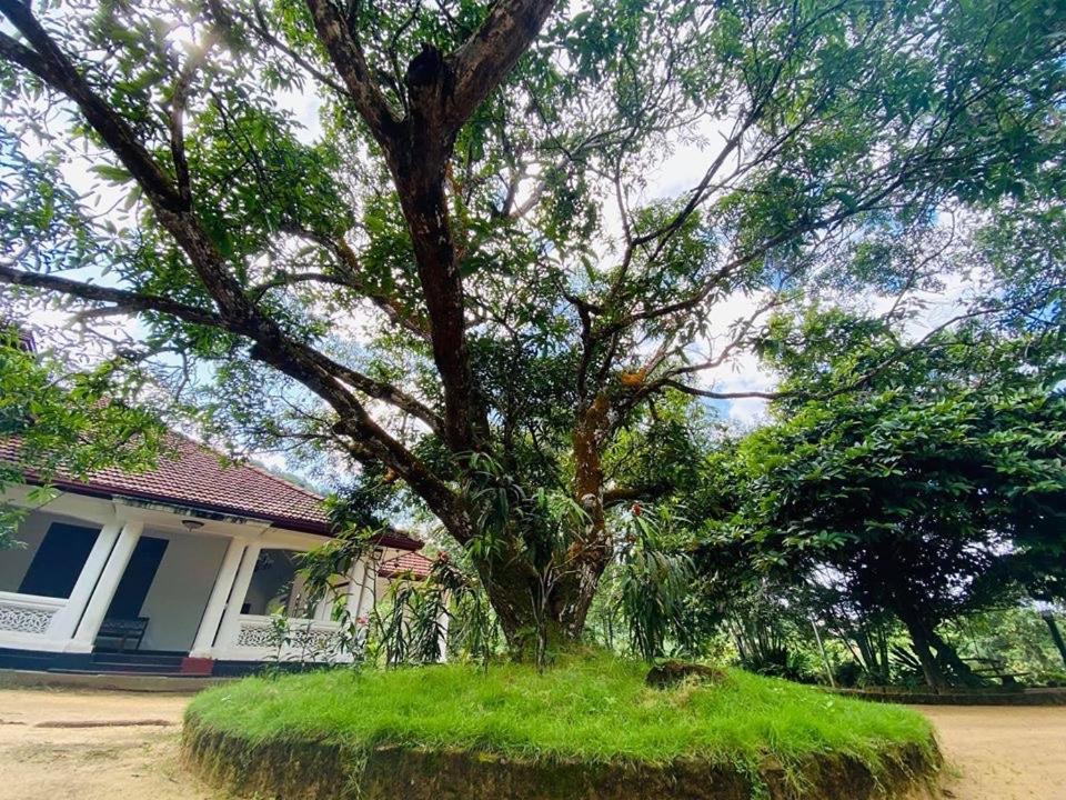 Randiyaepiliyagoda Resort Avissawella Bagian luar foto