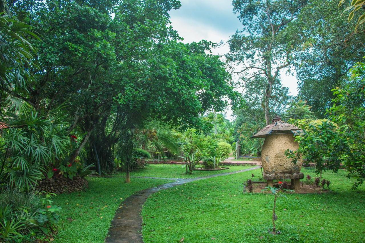 Randiyaepiliyagoda Resort Avissawella Bagian luar foto