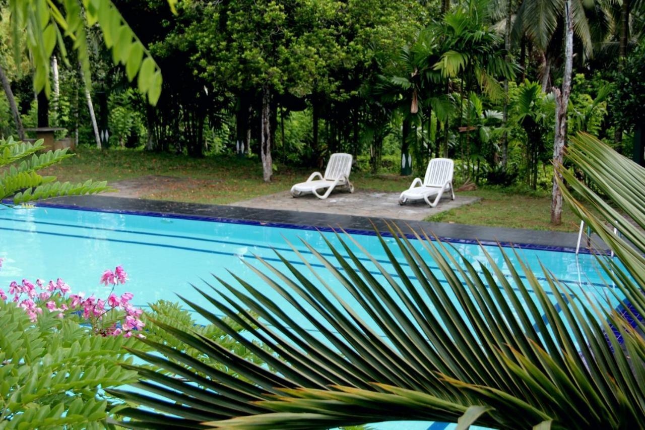 Randiyaepiliyagoda Resort Avissawella Bagian luar foto